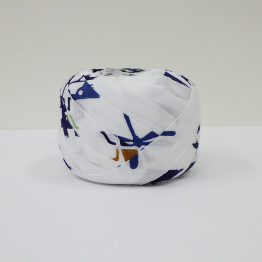 白浴衣兜虫クワガタトンボ(Y02105009)